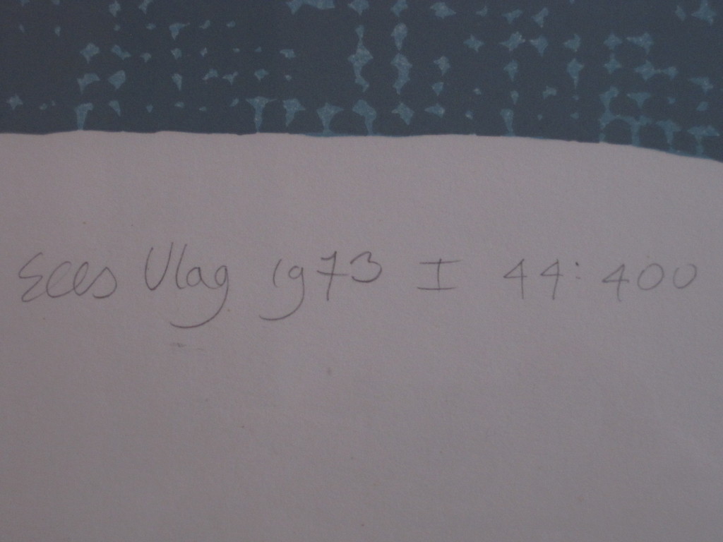  gesigneerde Sees Vlag GROTE Kurhaus Scheveningen Zeefdruk 1973  kopen? Bied vanaf 1!