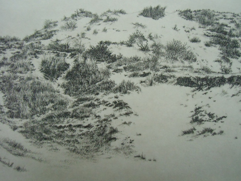 DUINLANDSCHAP  //  ETS VAN DIRK HARTING kopen? Bied vanaf 1!