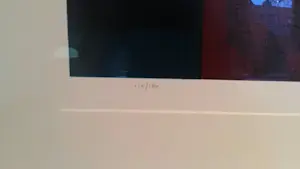 Ton Schulten - Ton Schulten, Zeefdruk, Twente in volle gloed 115 / 180 kopen? Bied vanaf 750!