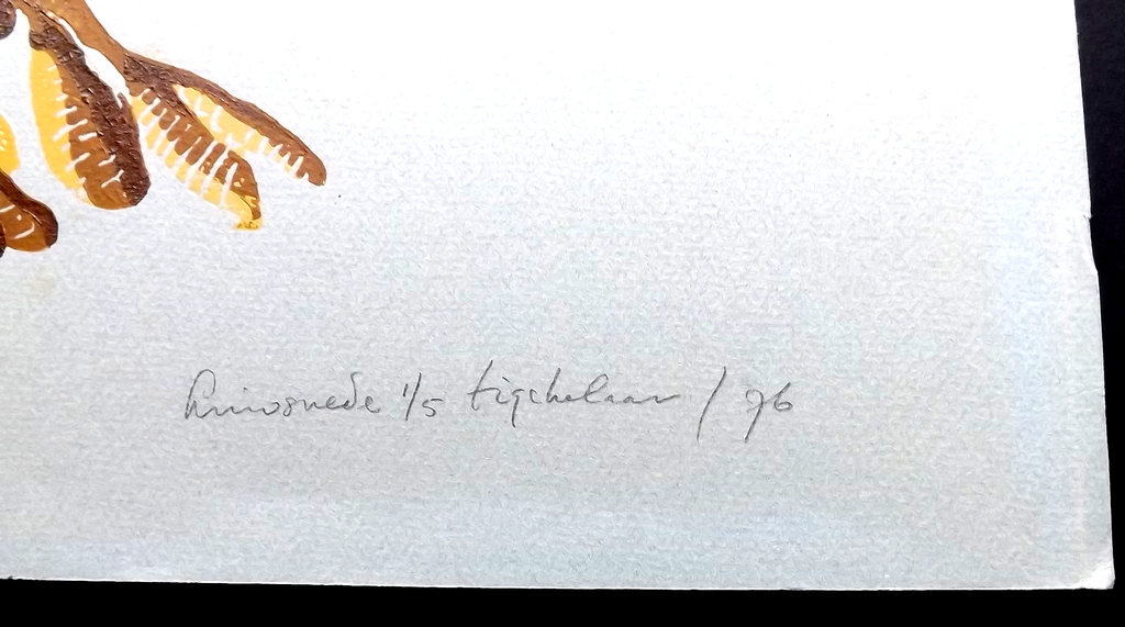 Andre Anne Tigchelaar - Linosnede -1976 kopen? Bied vanaf 1!