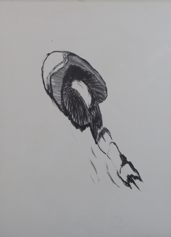 Beatrice Schilstra: Litho, Zonder titel - Ingelijst kopen? Bied vanaf 1!