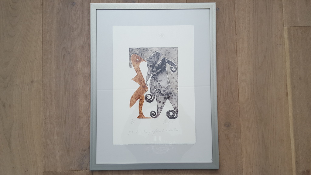 Reinhoud D'Haese (1928-2007) - metaaldruk 9/24, handgesigneerd (ingelijst) kopen? Bied vanaf 185!