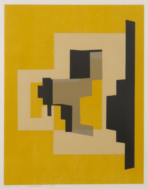 Corrie Kuijs: Lino, Schaduwbeeld - Ingelijst kopen? Bied vanaf 20!