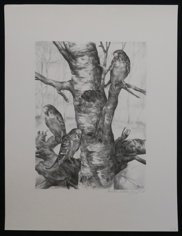 Aart van Dobbenburgh: Litho, Parkieten kopen? Bied vanaf 1!