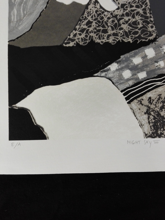 Ronald Boonacker, zeefdruk op papier, Titel: night sky III kopen? Bied vanaf 30!