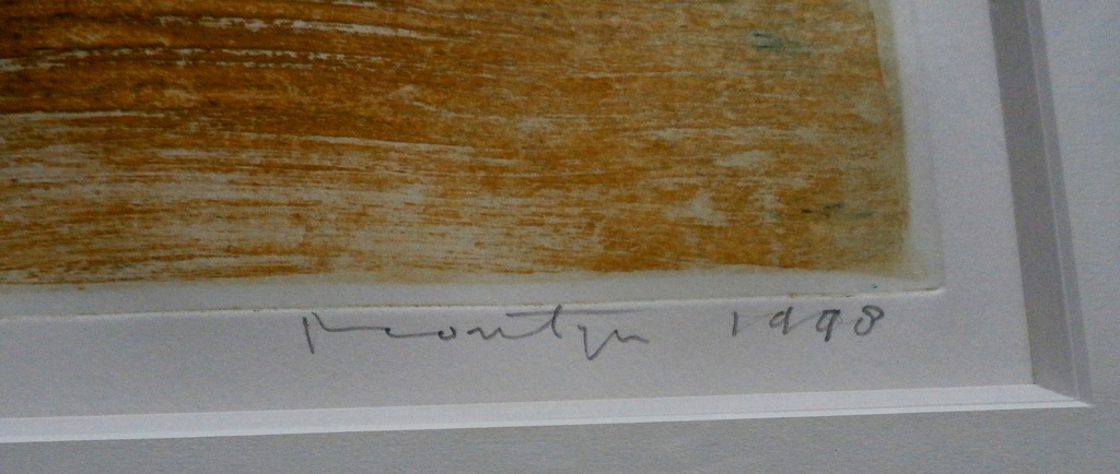 Jan Montyn - ingelijste ets: Als een cameleon - 1998 kopen? Bied vanaf 125!