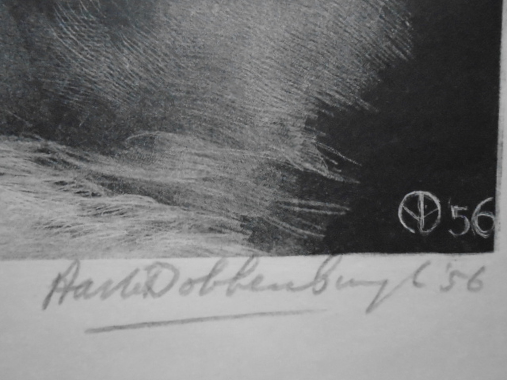 Aart van Dobbenburgh - litho - Berglandschap kopen? Bied vanaf 40!