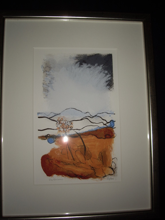 Dessert Rose; Elice Kernkamp; Zeefdruk kopen? Bied vanaf 35!