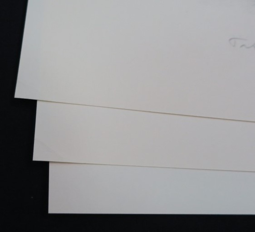 Dirkje Kuik: Portfolio 9x Litho, Alkmaar II - De afbraak van het Zoutpaleis kopen? Bied vanaf 250!