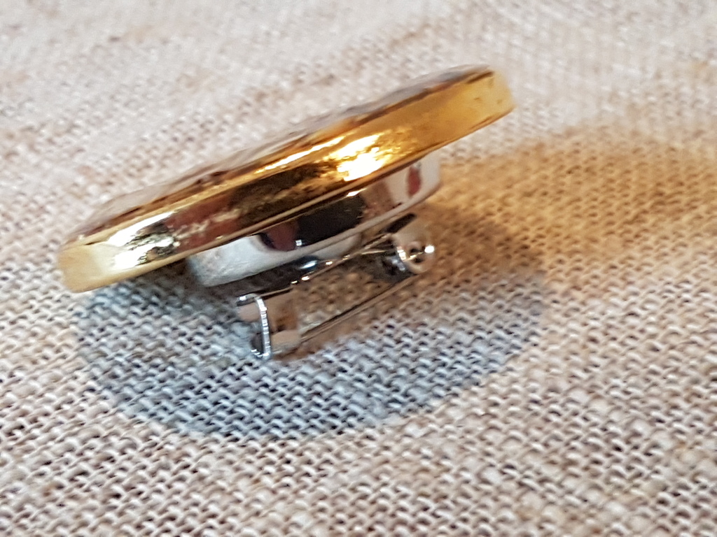 Broche met echte zaden en peperkorrels en fruit kopen? Bied vanaf 3!