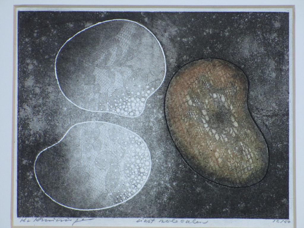 Harry van Kruiningen, Eiwit Moleculen, Kleurets verkocht voor € 70!