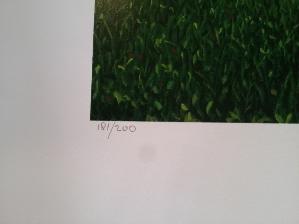 Dolf Zwerver. Litho. Fietser. kopen? Bied vanaf 169!