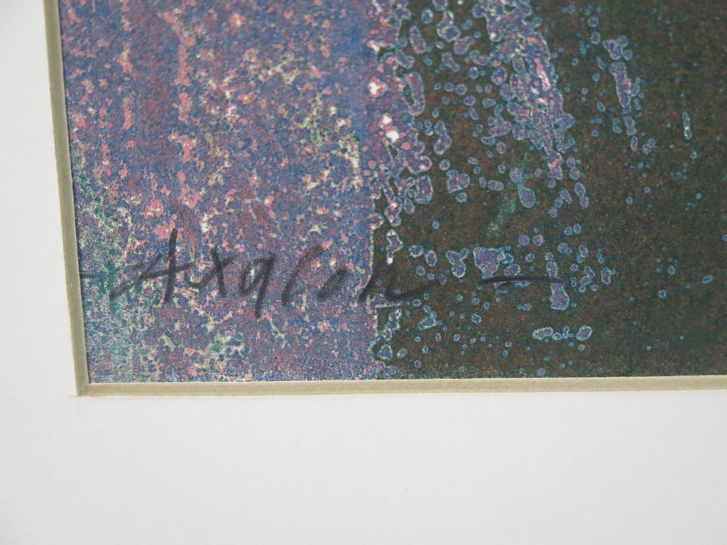 Taco Meeuwsen: Gemengde techniek, Axacon  kopen? Bied vanaf 1!