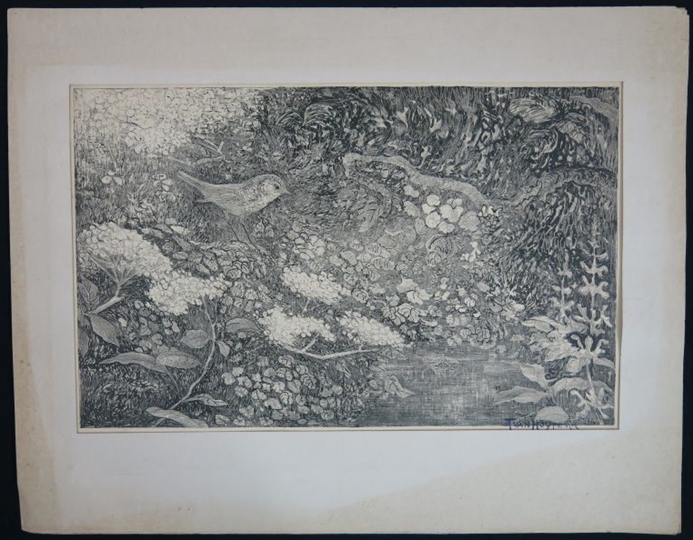 Theo van Hoytema: Litho, Vogeltje kopen? Bied vanaf 50!