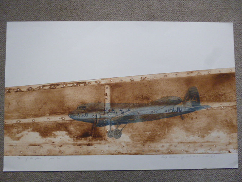 Leentje Linders -kleurenets - Skin of the plane - part two verkocht voor € 45!