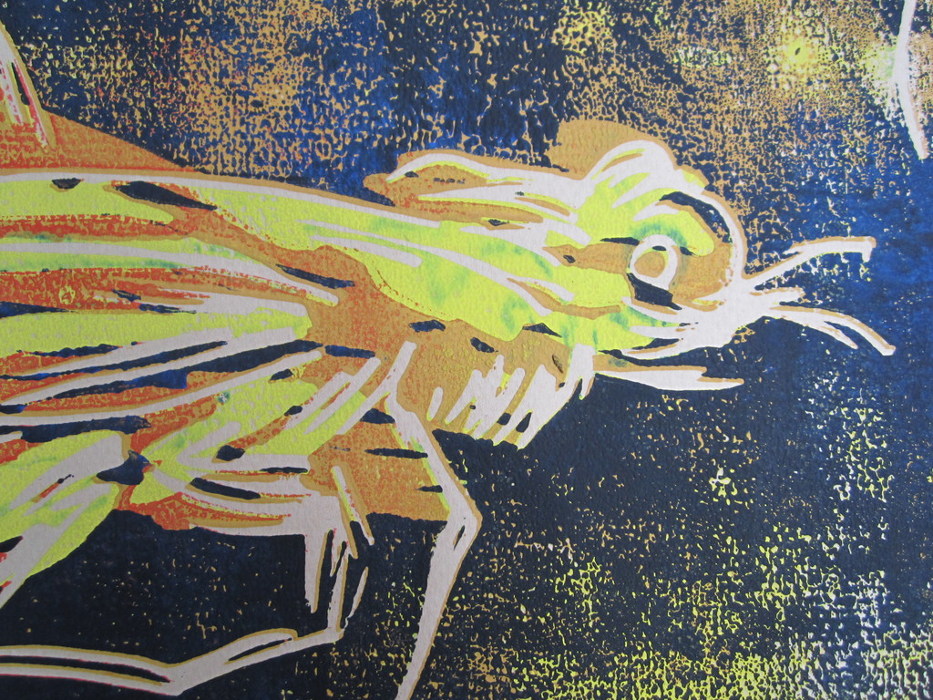 André Tigchelaar: Meerkleuren linosnede, insecten kopen? Bied vanaf 1!