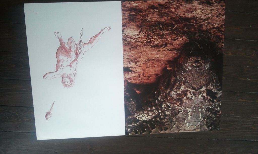 Sergio Vegas kopen? Bied vanaf 1!