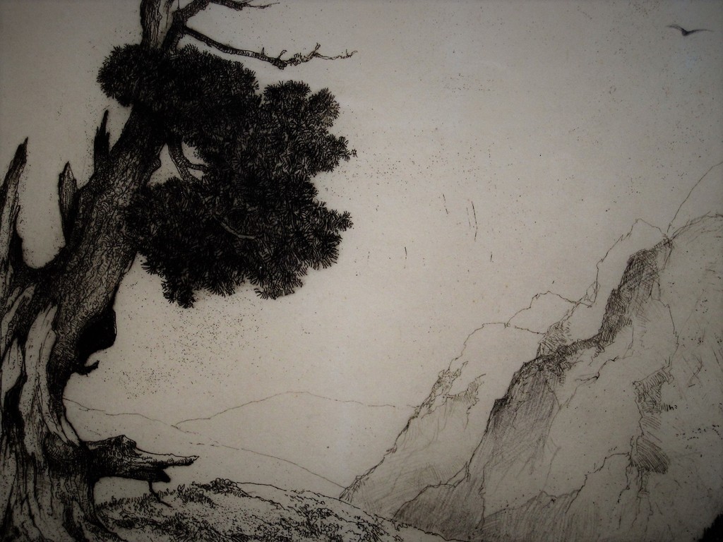 Zeldzame "Japanse periode" Ets "Alpen" gesign. Dirk Baksteen 1886-1971   kopen? Bied vanaf 1!