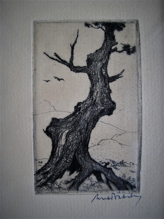 Zeldzame "Japanse periode" Ets "Oude boom" Dirk Baksteen gesigneerd  kopen? Bied vanaf 1!