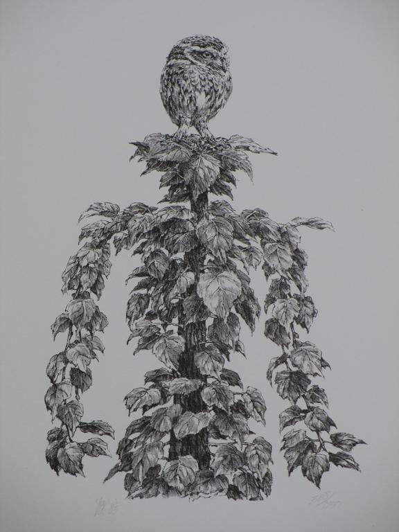 Peter Vos, Uil in top boom, Litho verkocht voor € 295!
