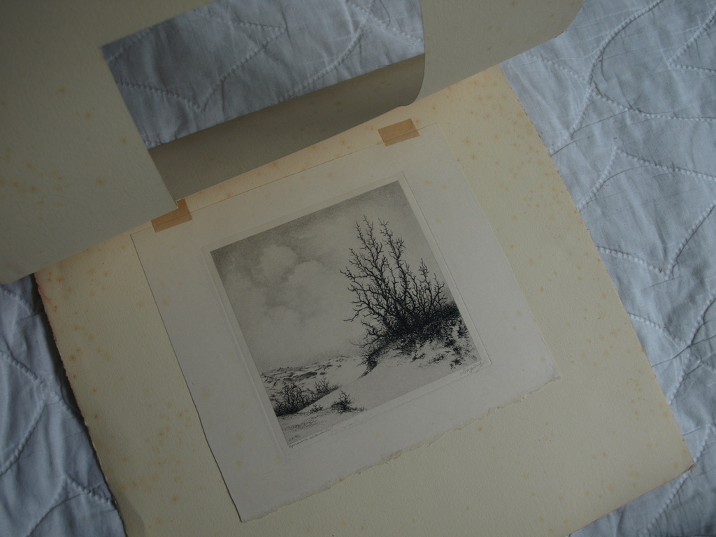 Dirk Harting (1884-1970) : Ets – Heesterplant – gesigneerd – 1946 kopen? Bied vanaf 1!