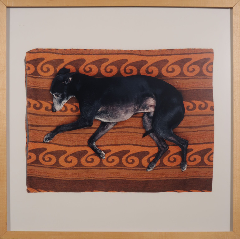 Maarten Wetsema: Foto, Rik op kleed - Ingelijst kopen? Bied vanaf 1!