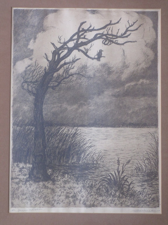 J.C. Nachenius, De Jeneverboom, Ets kopen? Bied vanaf 1!