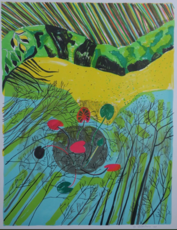 Dorian Hiethaar: Litho, Vijver - Ingelijst kopen? Bied vanaf 35!