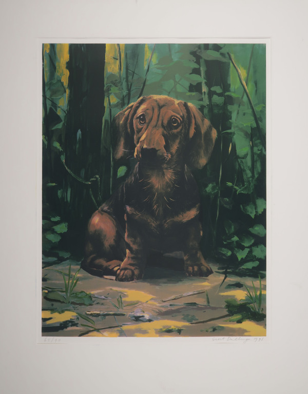 Siert Dallinga: Zeefdruk, Hond in het bos (Groot) kopen? Bied vanaf 35!