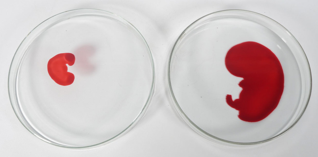 Lisette Verkerk: Beschilderd petrischaaltje, Origins kopen? Bied vanaf 35!