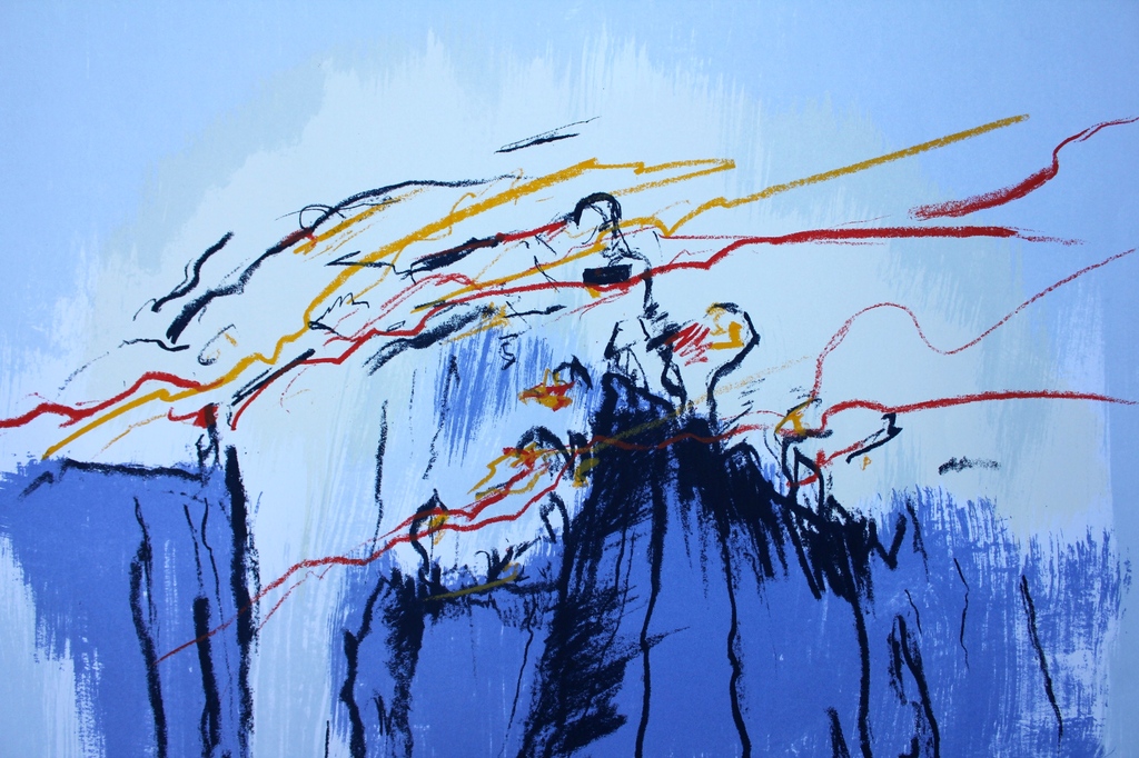 JOHANN VAN DEN NOORT (1940), Zeefdruk, Birds on the Farnes kopen? Bied vanaf 99!
