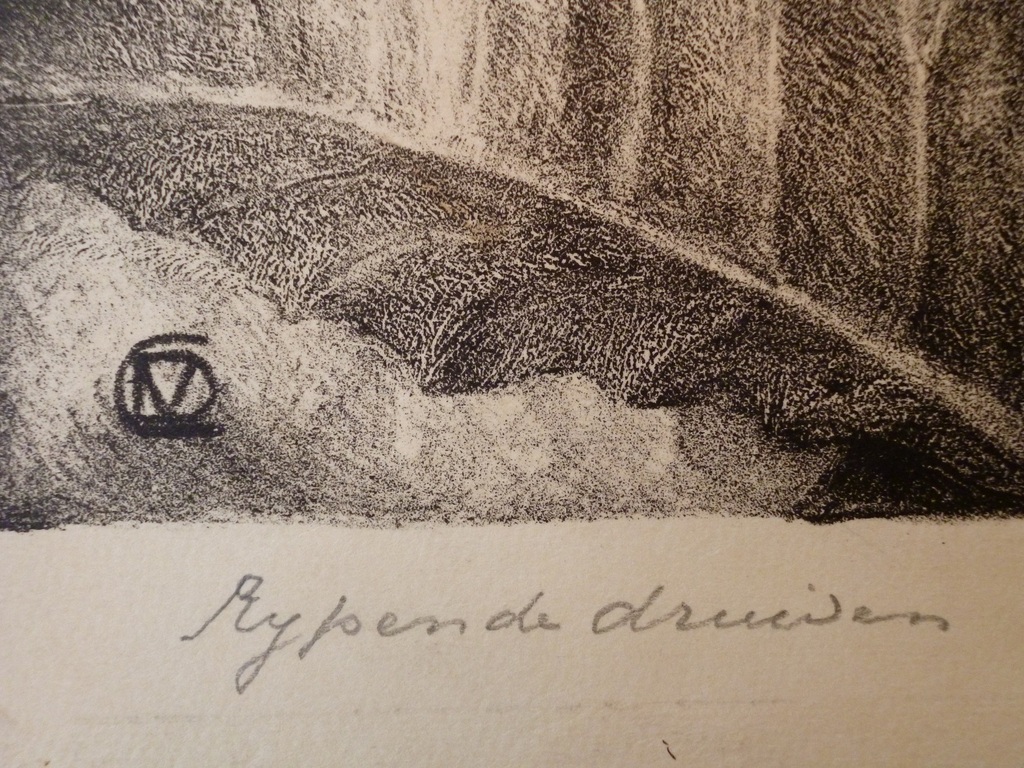 Rijpende druiven kopen? Bied vanaf 50!