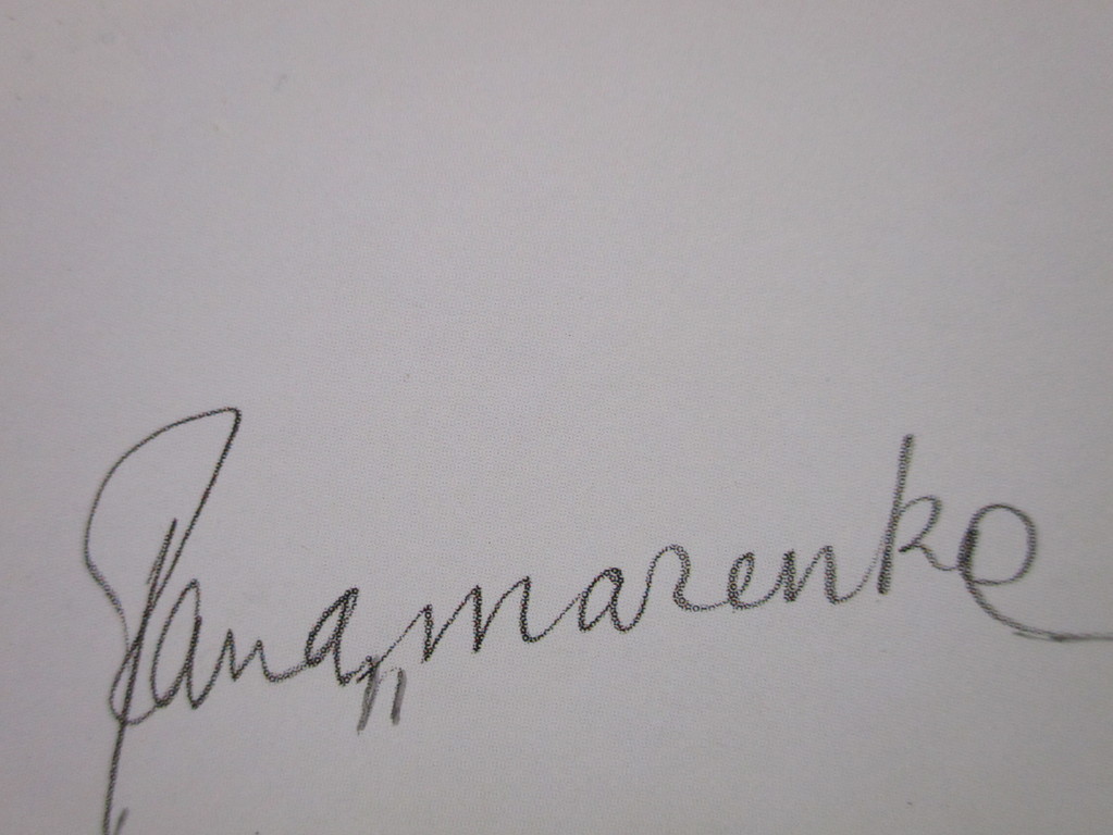 Panamarenko - Eiland & Loxodrome - offset lithografie. kopen? Bied vanaf 320!
