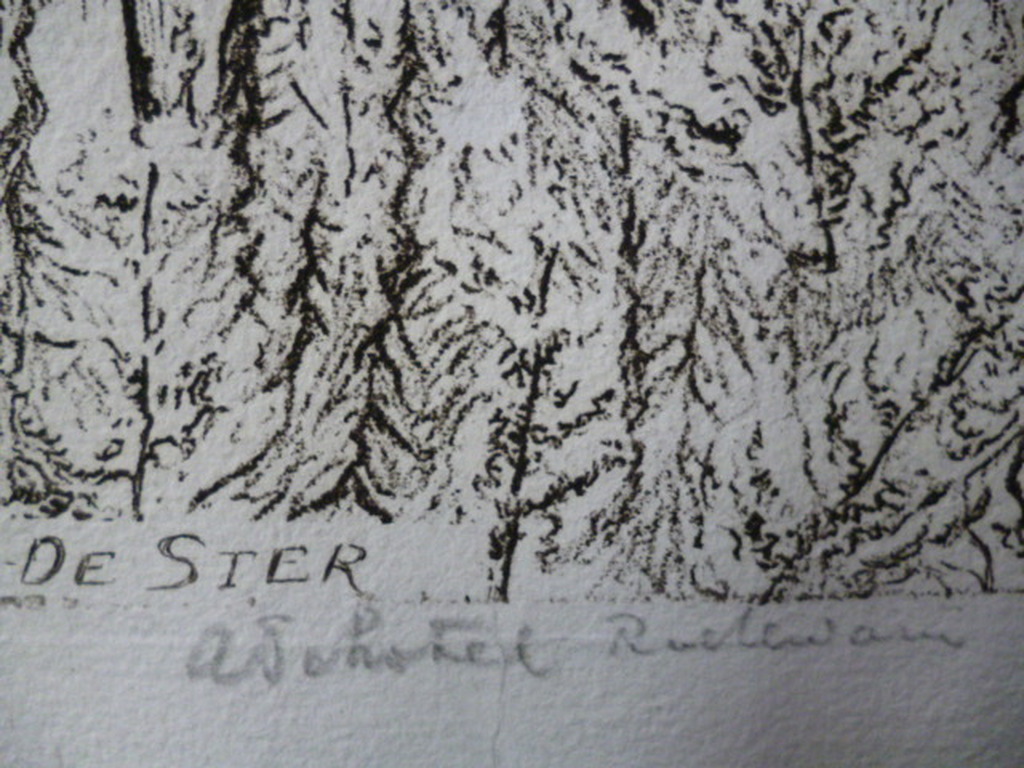 Andreas Schotel - ets - Molen De Ster, Rotterdam kopen? Bied vanaf 45!