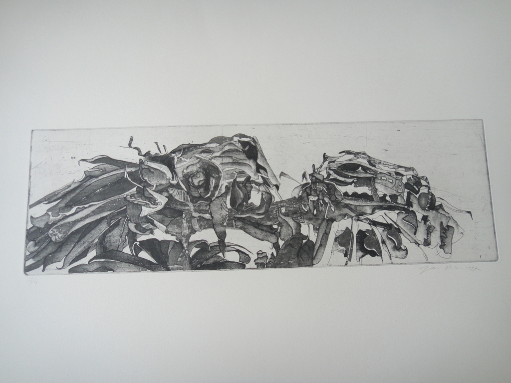 Jan Prins (1956) - (zeldzame) ets - tropische bloemen II kopen? Bied vanaf 1!