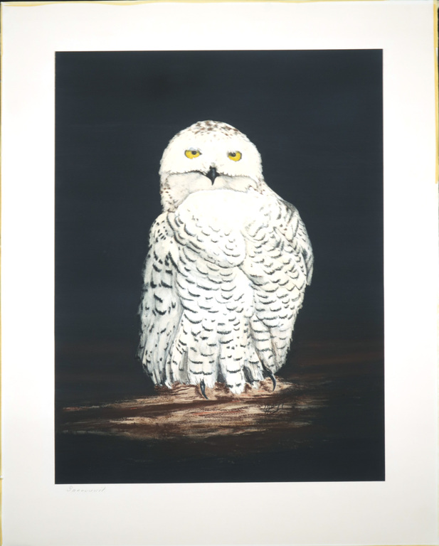 Onbekende kunstenaar: Acryl en krijt op papier, Sneeuwuil kopen? Bied vanaf 1!