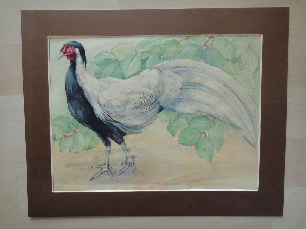 Tini van Doornik (1906-1980), aquarel, haan aan de wandel kopen? Bied vanaf 1!