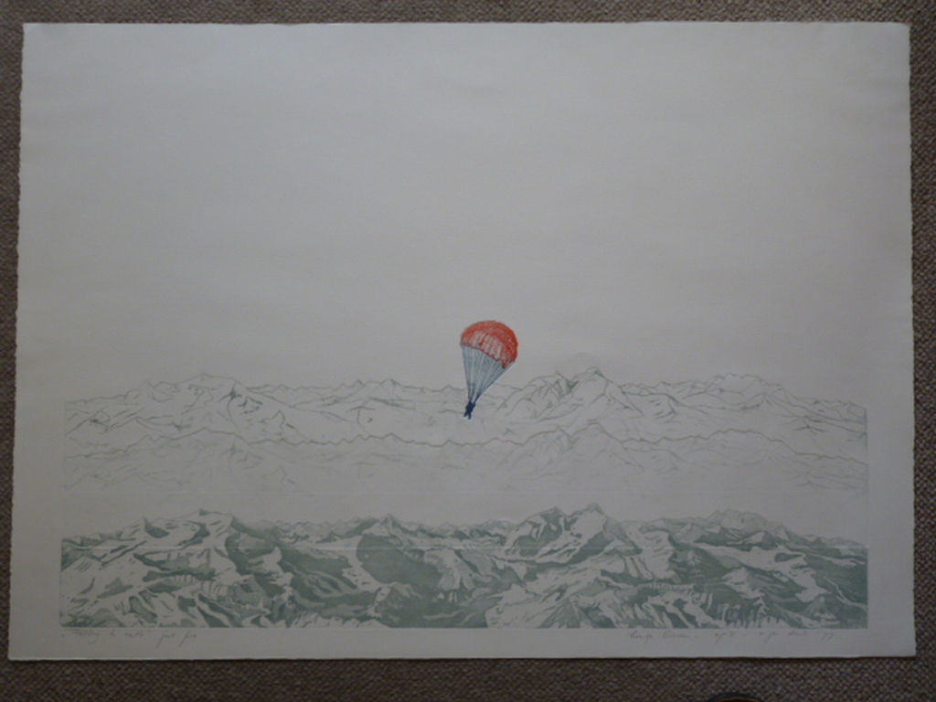 Leentje Linders - kleurenets - "Falling to earth part five" verkocht voor € 40!