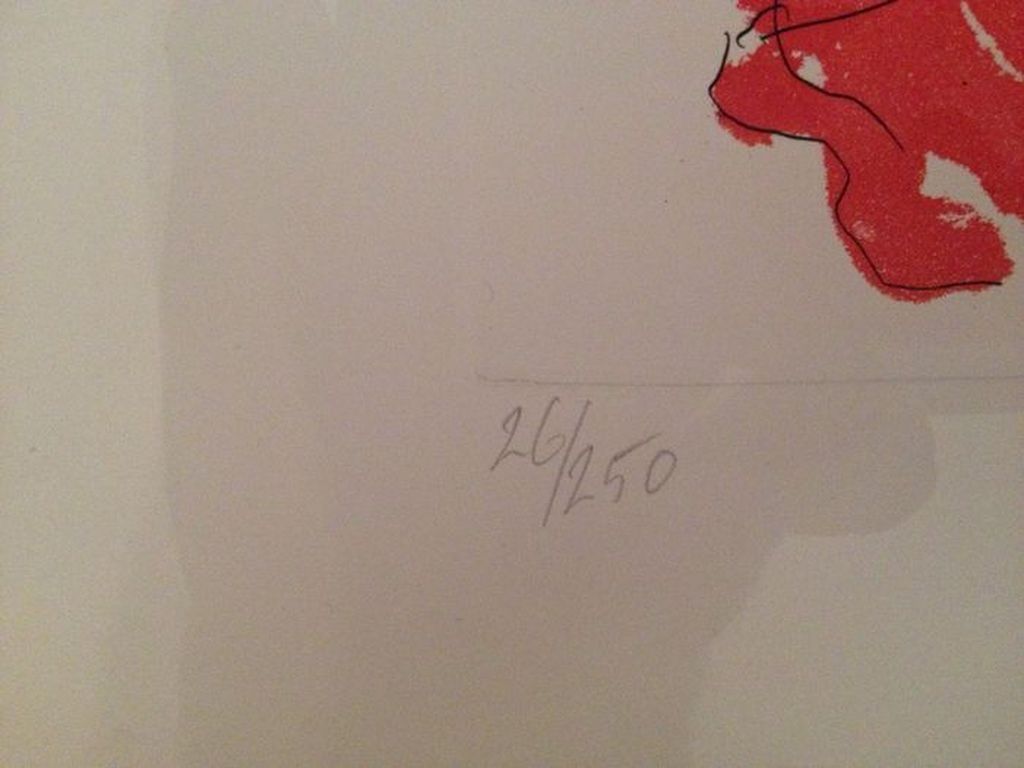 JAN SIERHUIS  Zeefdruk  DE ANATOMISCHE LES uit 1994 Handgesigneerd kopen? Bied vanaf 55!