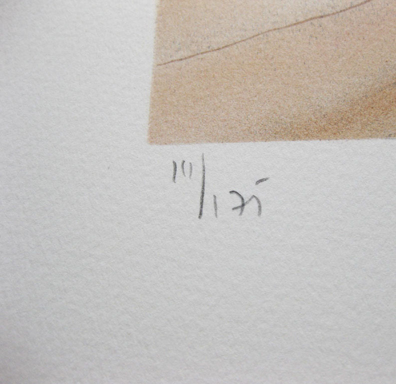 Alain Renoux - " Hiver " - Kleuren litho - Handgesigneerd kopen? Bied vanaf 48!