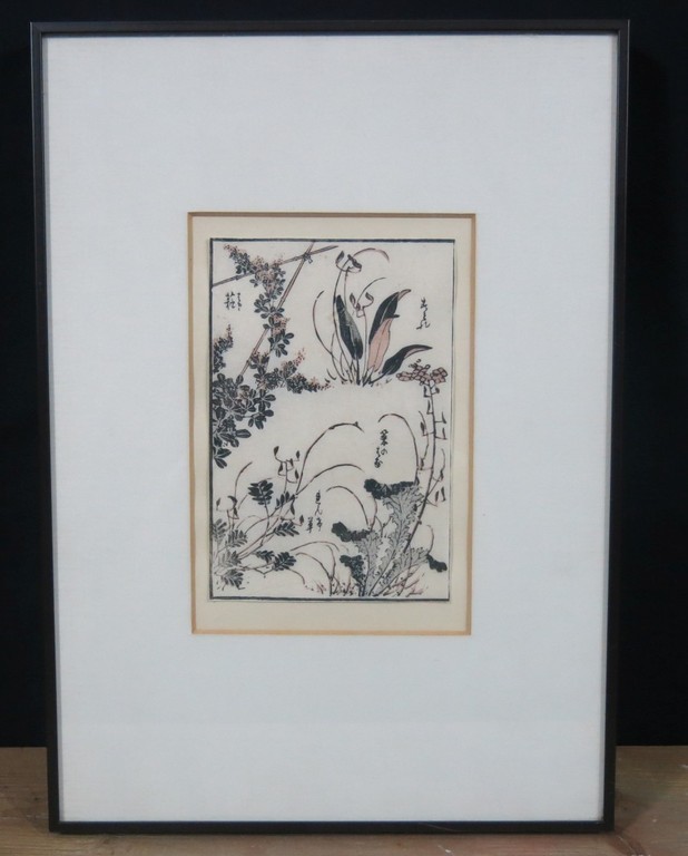 Onbekende kunstenaar: Houtsnede op Japans papier, Studie van planten - Ingelijst kopen? Bied vanaf 10!