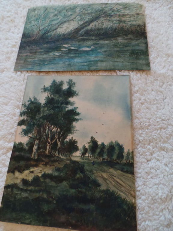 Twee aquarellen  kopen? Bied vanaf 10!