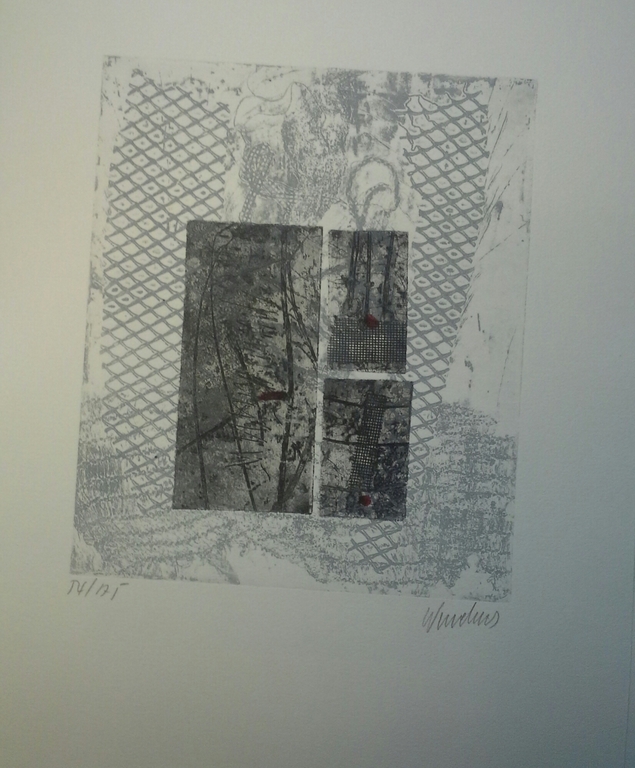 Ets van een zuid amerikaanse kunstenaar kopen? Bied vanaf 1!