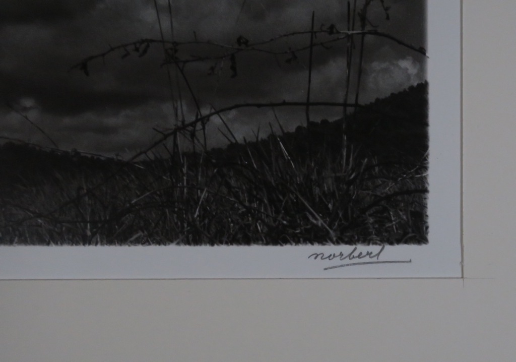 Norbert Buchsbaum: Foto, Near Fayence kopen? Bied vanaf 50!