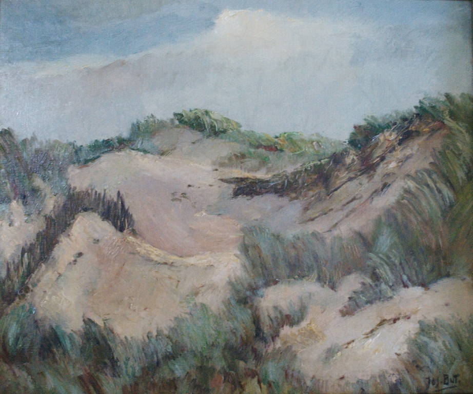 (Zeeuwse)Duinen - olieverf op doek,50x60 cm - mooi ingelijst kopen? Bied vanaf 225!