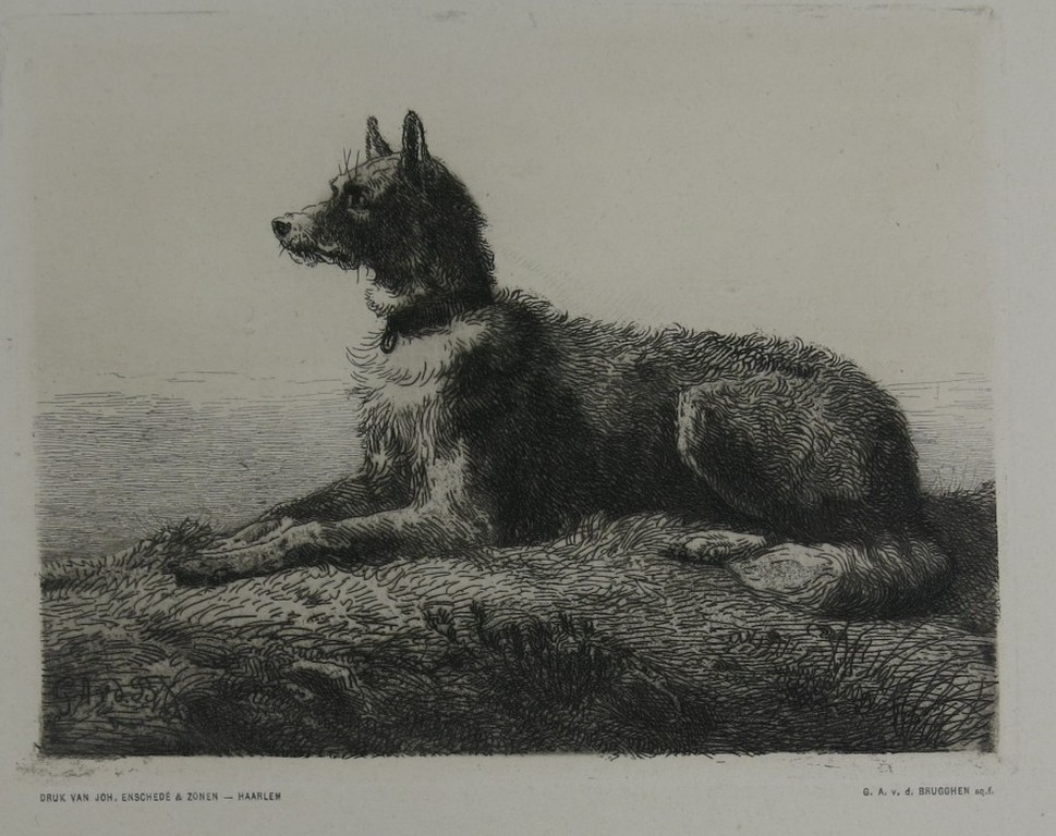 Guillaume Anne van der Brugghen: Ets, Herdershond kopen? Bied vanaf 1!