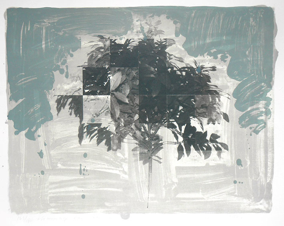 Joseph Cals, hommage aan Graham Sutherland, 1980, litho kopen? Bied vanaf 25!