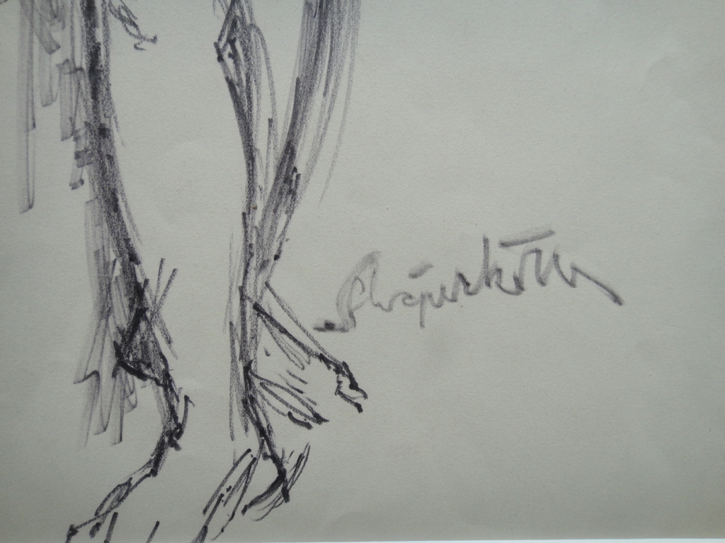 Gerard Schäperkötter , tekening, portret van naakte vrouw kopen? Bied vanaf 35!