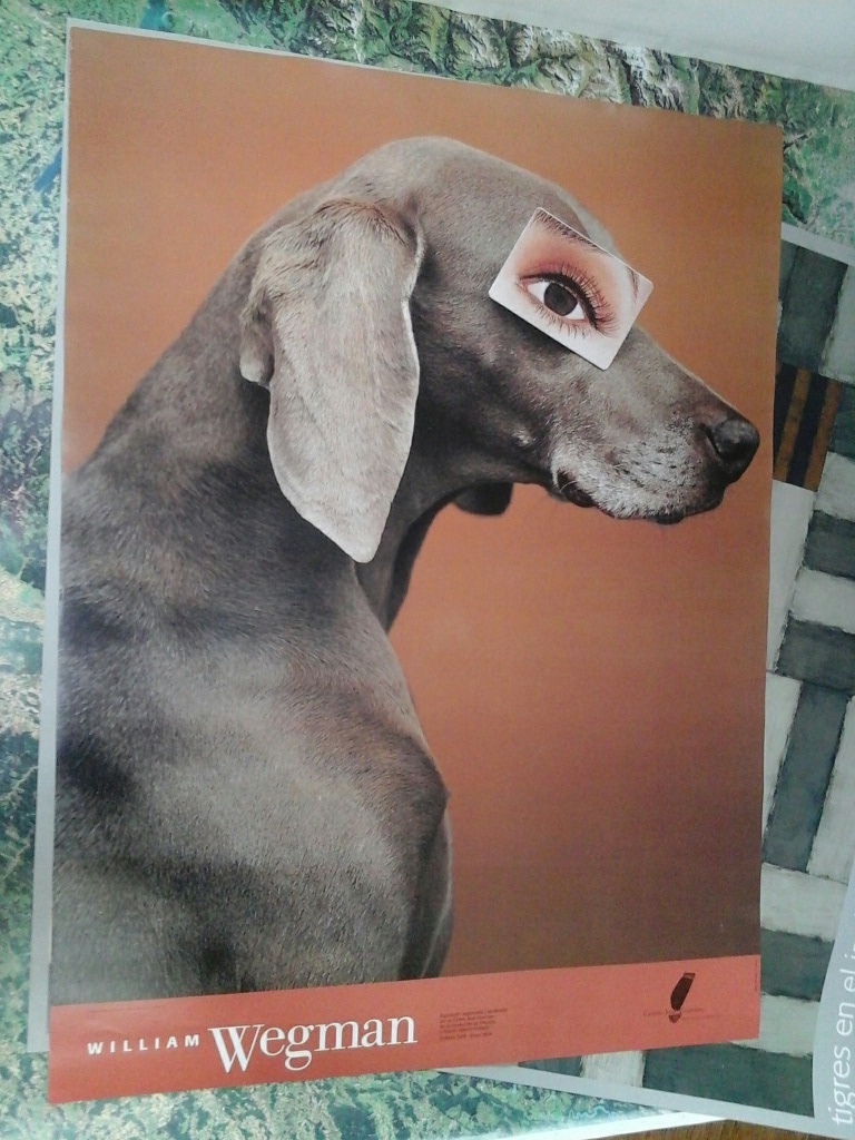 Expositie-affiche William Wegman, Granada. 2003-4 - Eyewear, 1994.  kopen? Bied vanaf 1!