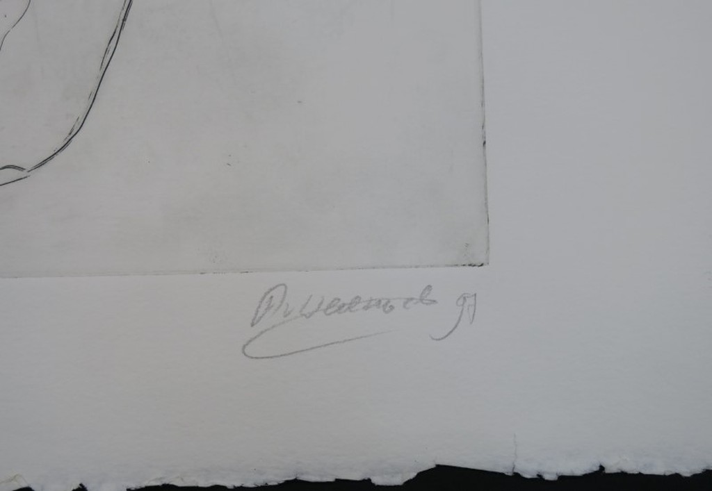 Angelique van Wesemael: Droge naald, Zonder titel  kopen? Bied vanaf 1!